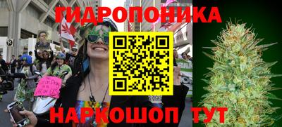 ALPHA PVP Мариинск