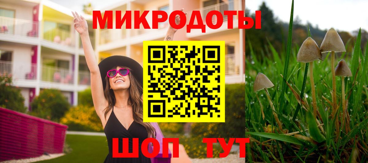 Галлюциногенные грибы MAGIC MUSHROOMS Великий Новгород